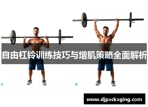 自由杠铃训练技巧与增肌策略全面解析