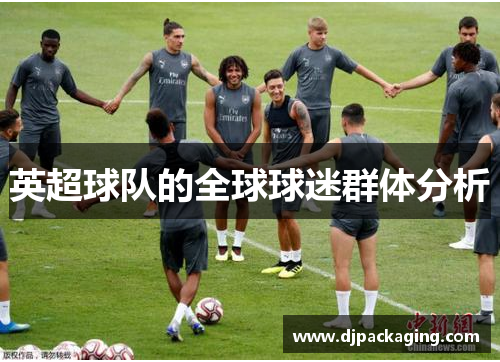 英超球队的全球球迷群体分析
